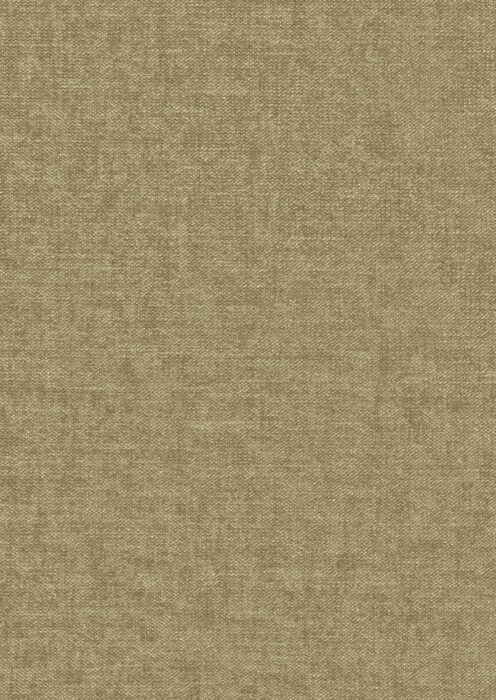 0106830007_gilon_07_texture