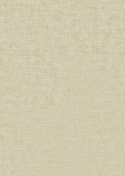 0106830009_gilon_09_texture