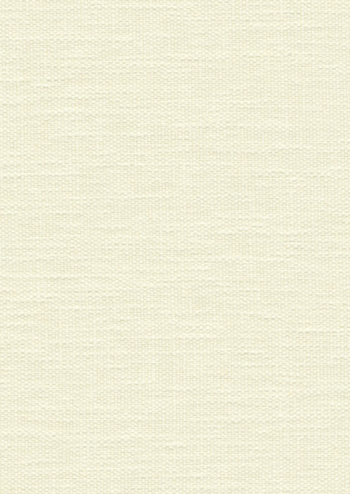 0106850000_iro_00_texture