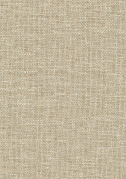 0106850009_iro_09_texture