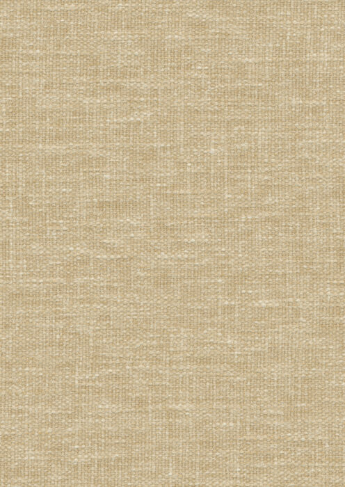 0106850079_iro_79_texture