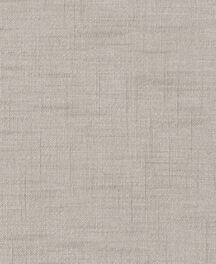 0107280007_prisma_07_texture