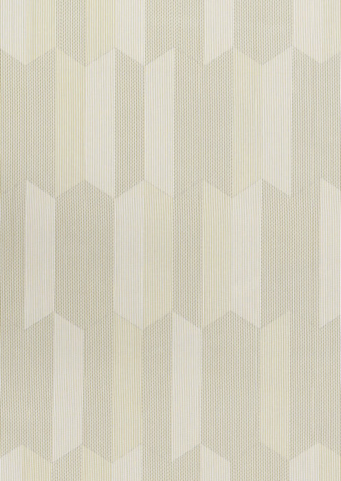 0107290006_morph_06_texture