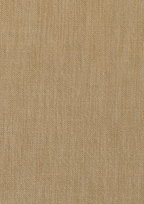 0107310026_metrum_26_texture