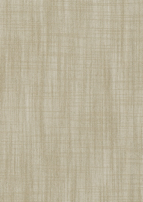 0107330006_cadence_06_texture