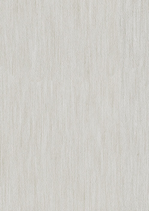 0107390006_motion_06_texture