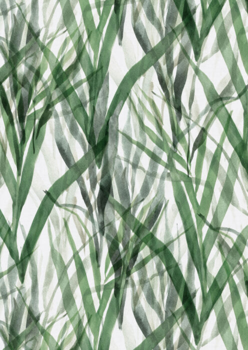 0119450085_botanical_grass_u_85_texture